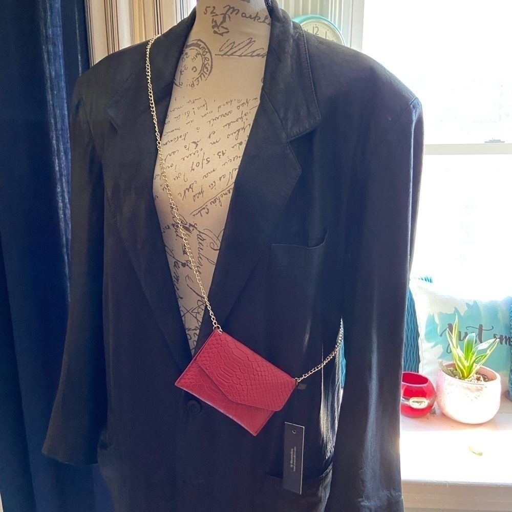 Ava/Kris Coin Bag with Gold Strap NWT